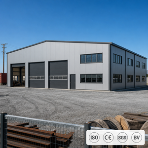 Hot-Rolled Column-Free I-Beam Frame Steel Structure Warehouse Building For E-Commerce Hub