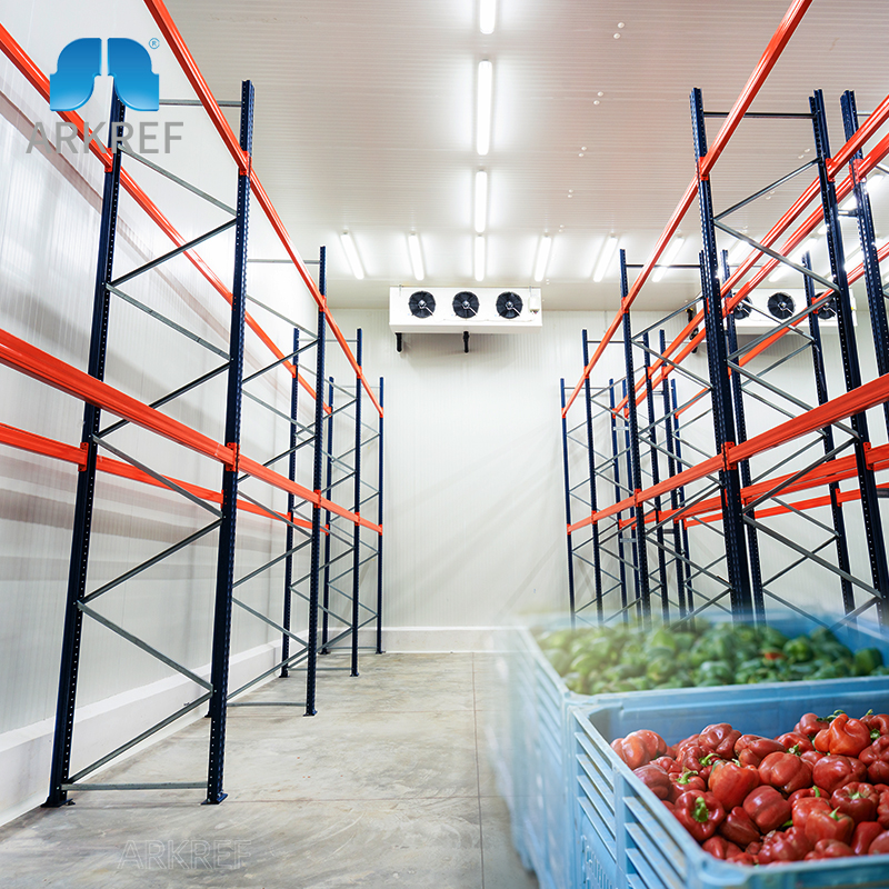 Arkref Warehouse Shelves Heavy-duty Cold Storage Shelves Selective Narrow Aisle Metal Industrial Shelf R744 System