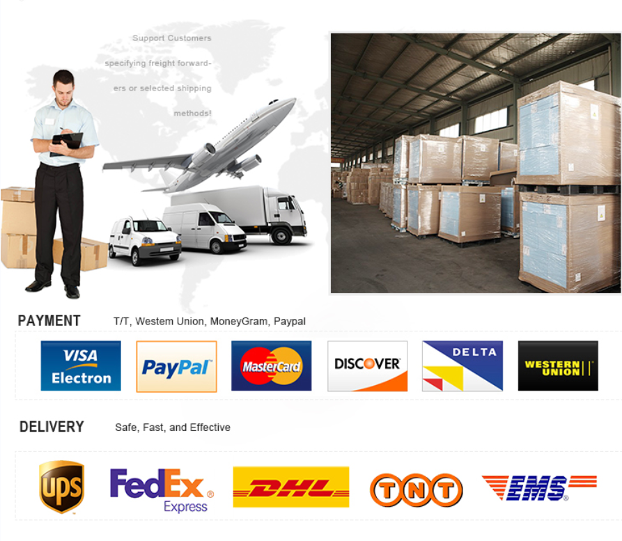 Packaging and Logistics Presentation