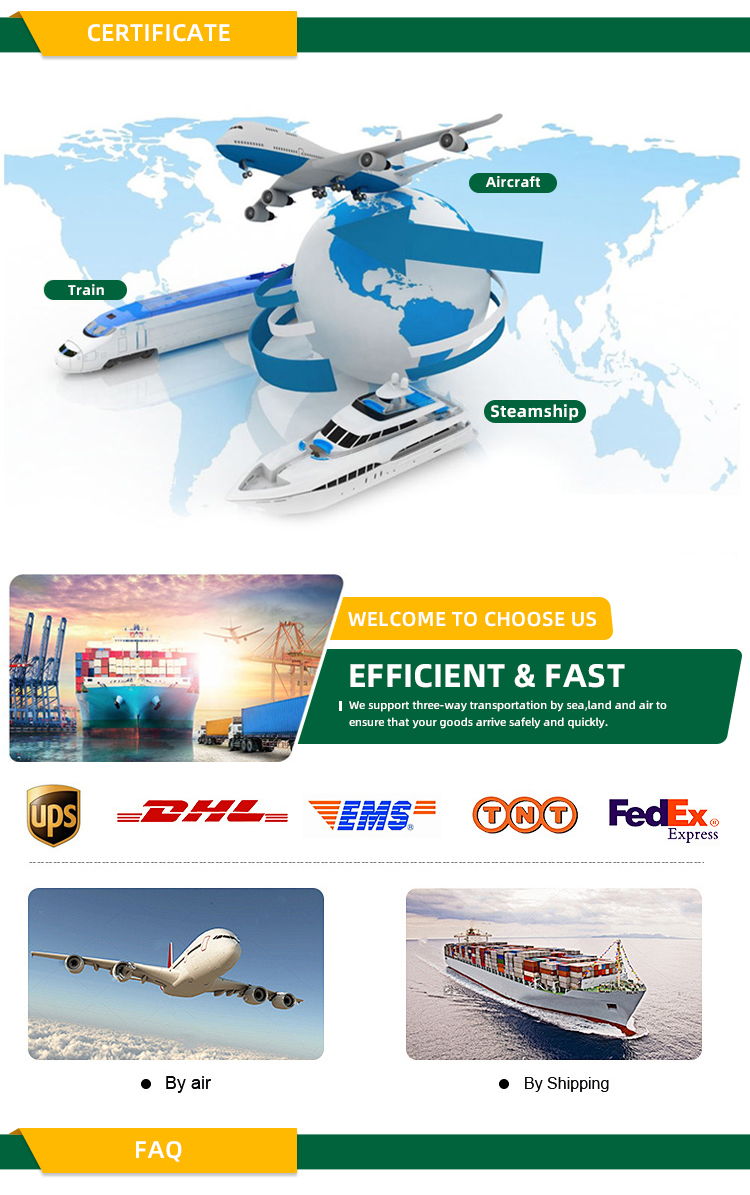 Palletizer Conveyor Gallery 5