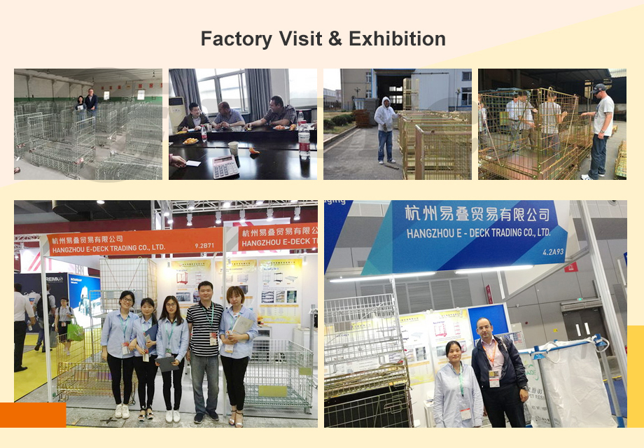 Company Information
