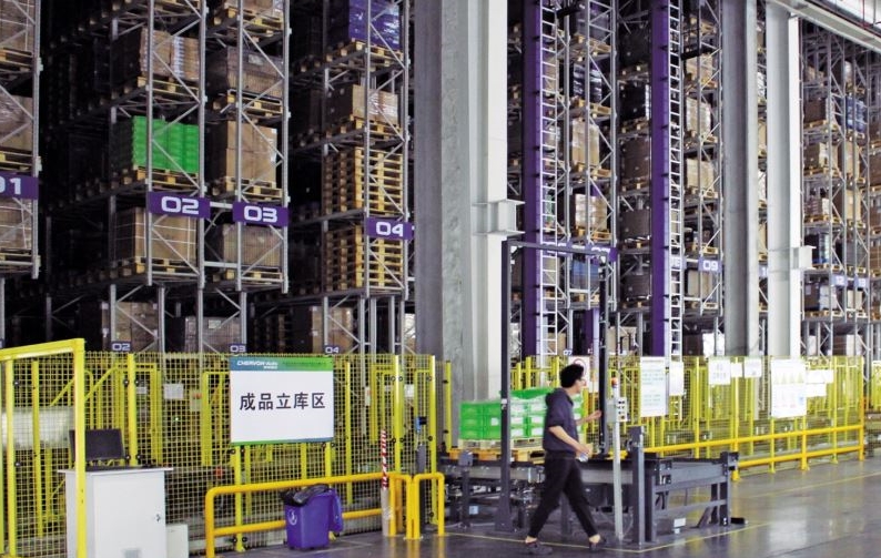 Steel Structure Shelving Framework