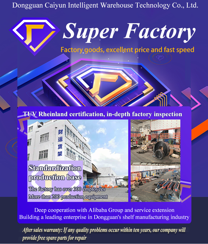 Dongguan Caiyun Intelligent Storage Technology Co., Ltd. Factory
