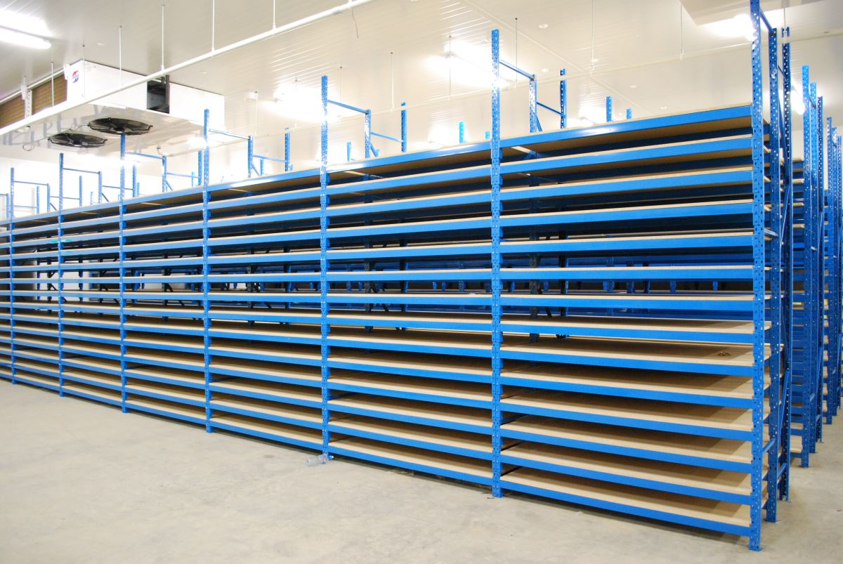 Product Display 6