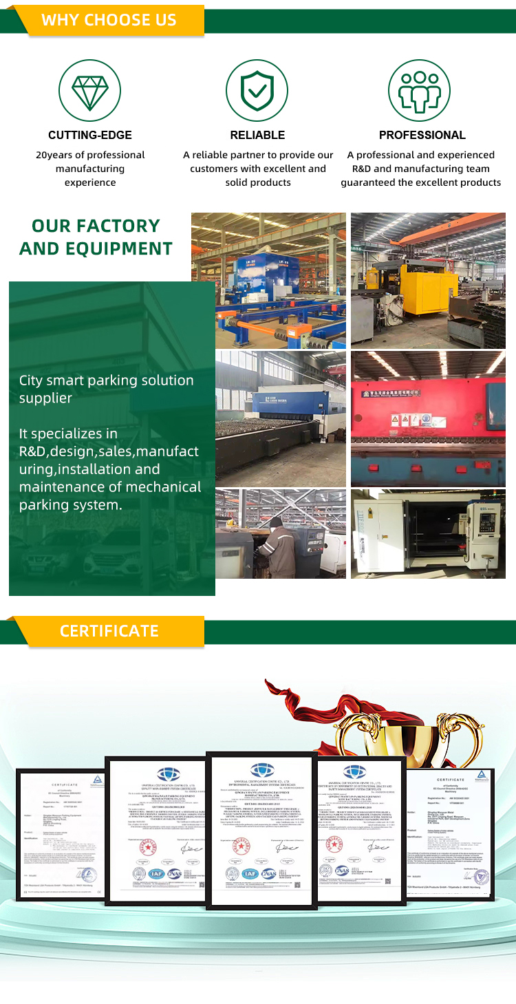 Palletizer Conveyor Gallery 4
