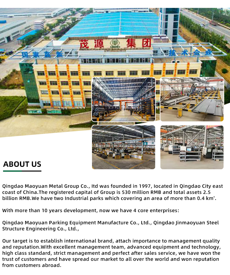 Palletizer Conveyor Gallery 3