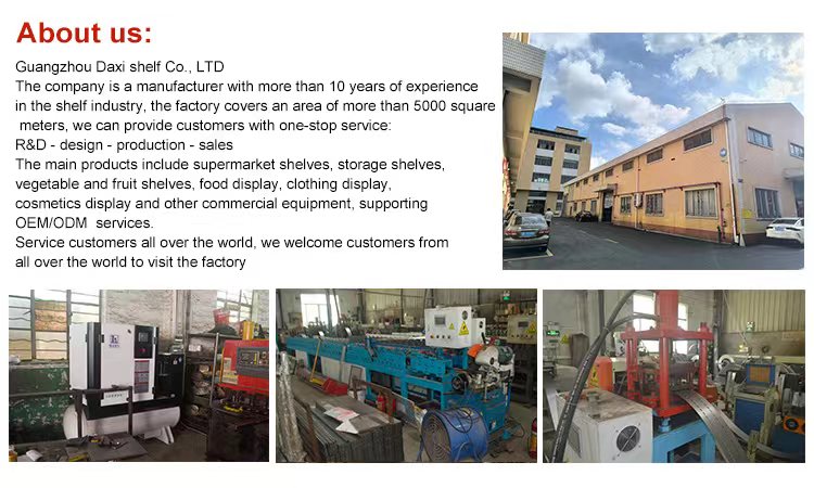 Company Profile and Factory Workshop